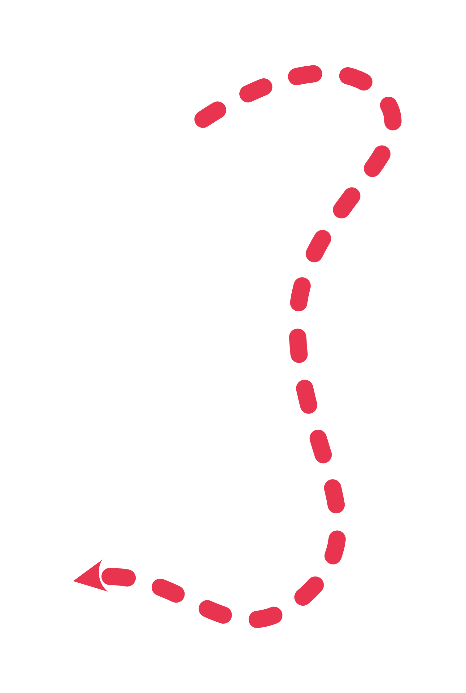 Red Arrow Pointing Down - Learn More About Our Services